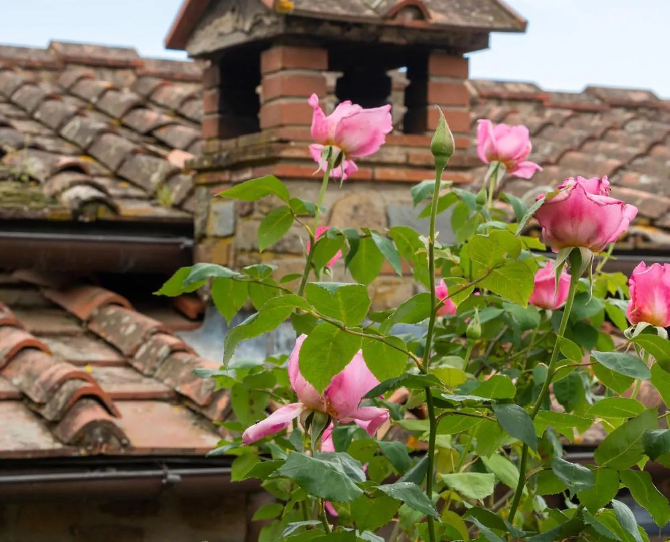 Apartament Il Piccolo Eden Pescia